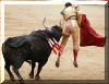 French bullfighter Sebastian Castella is lifted by a Nunez de Cuvillo bull at the San Fermin fair in Pamplona.(AFP/File/Rafa Rivas)